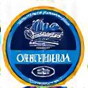International Detailing Association logo